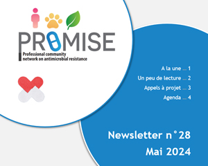 newsletter_promise-28