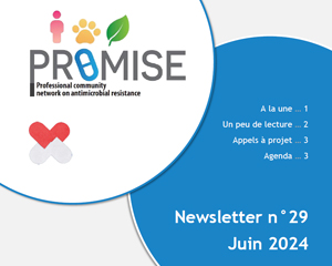 Newsletter PROMISE 29