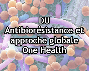 DU Antibiorésistance One Health