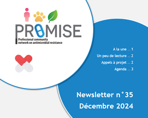 promise-newsletter-decembre2024