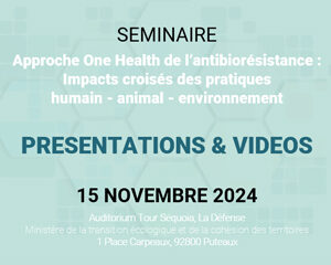 séminaire 15 novembre PROMISE SPILF