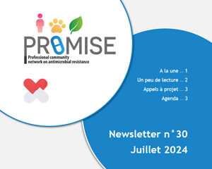 Newsletter PROMISE juillet 2024