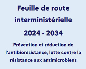 Feuille deroute ministère AMR antibiorésistance