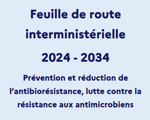 Feuille deroute ministère AMR antibiorésistance