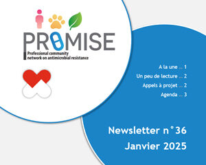 PROMISE newsletter janvier 2025