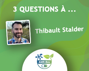 Interview Thibault Stalder