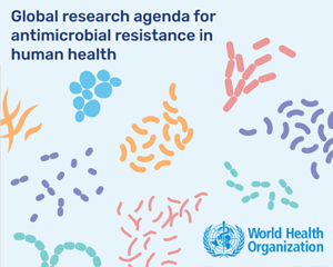 WHO global research agenda