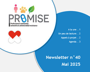 newsletter promise mai 2025