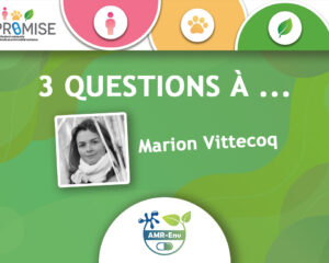 Marion Vittecoq interview AMR-Env