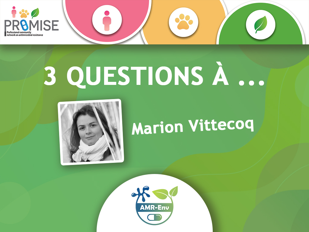 Marion Vittecoq interview AMR-Env