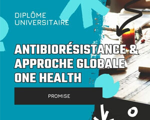 DU Antibiorésistance One Health Formation