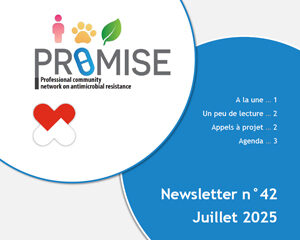 Newsletter PROMISE juillet 2025