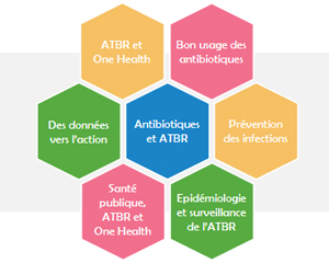 DU Antibiorésistance Une Seule Santé