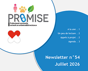 Newsletter PROMISE Juillet 2026