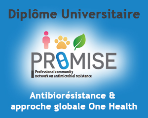 DU PROMISE 2026 2027 Antibiorésistance One Health