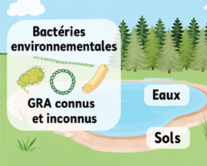 Publication PROMISE septembre 2026 environnement