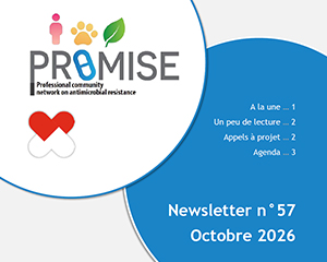 Newsletter PROMISE octobre 2026